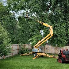 Seasonal Cleanup (Spring/Fall) in Cottonport, LA