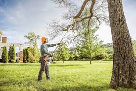 Best Tree Removal  in Cottonport, LA